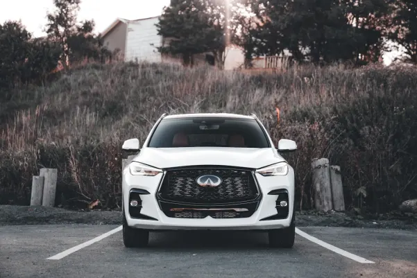 קזינו רויאל פנדה אפליקציית Android/iOS